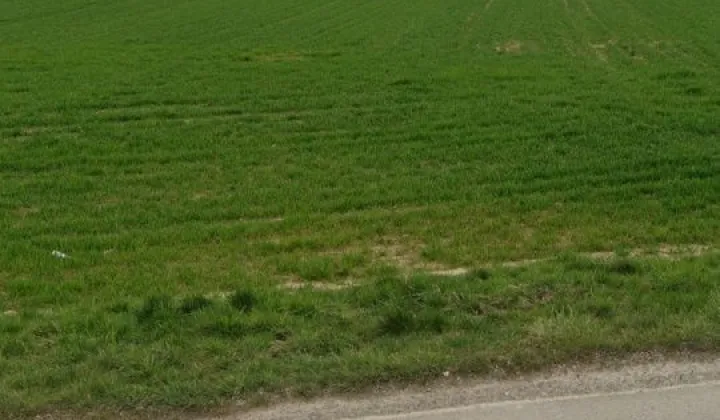 Działka rolno-budowlana Gołyszyn