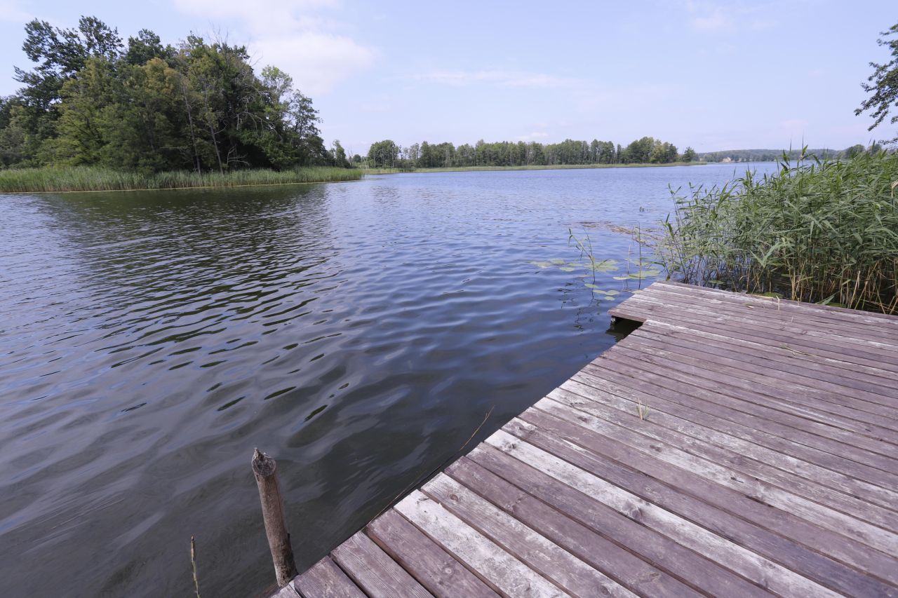 siedlisko, 5 pokoi Zełwągi Nowiny, Zełwągi. Zdjęcie 17
