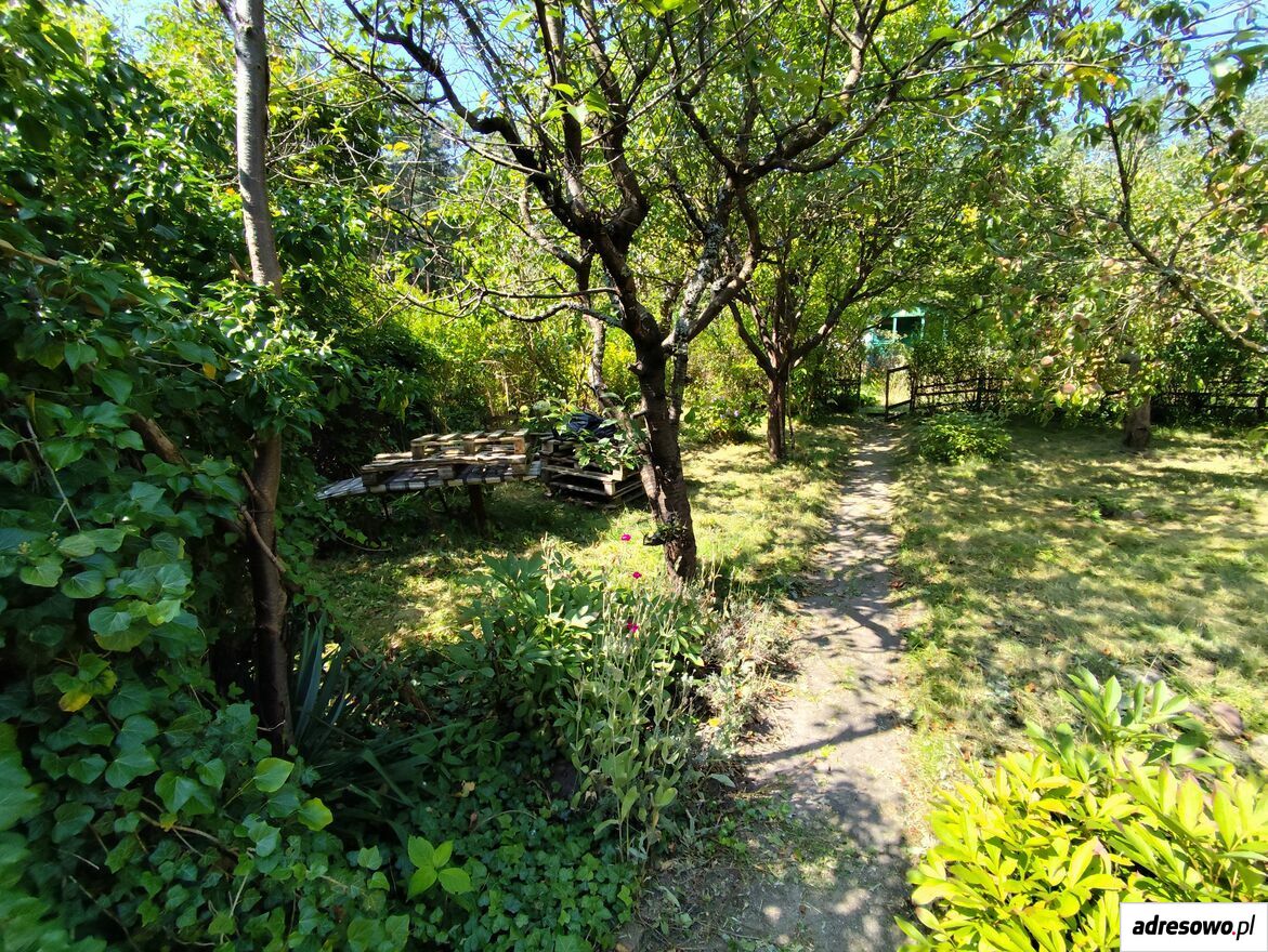 Działka rod Zielona Góra, ul. Botaniczna. Zdjęcie 2