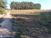 Działka budowlana Kowale Księże. Zdjęcie 4