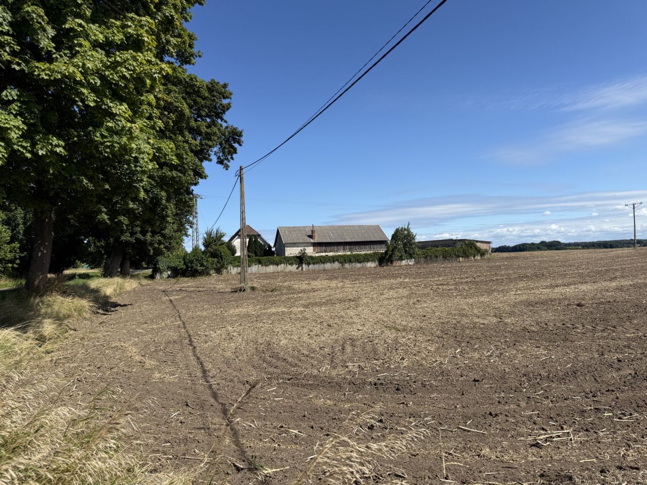 Działka rolna Gąskowo. Zdjęcie 2