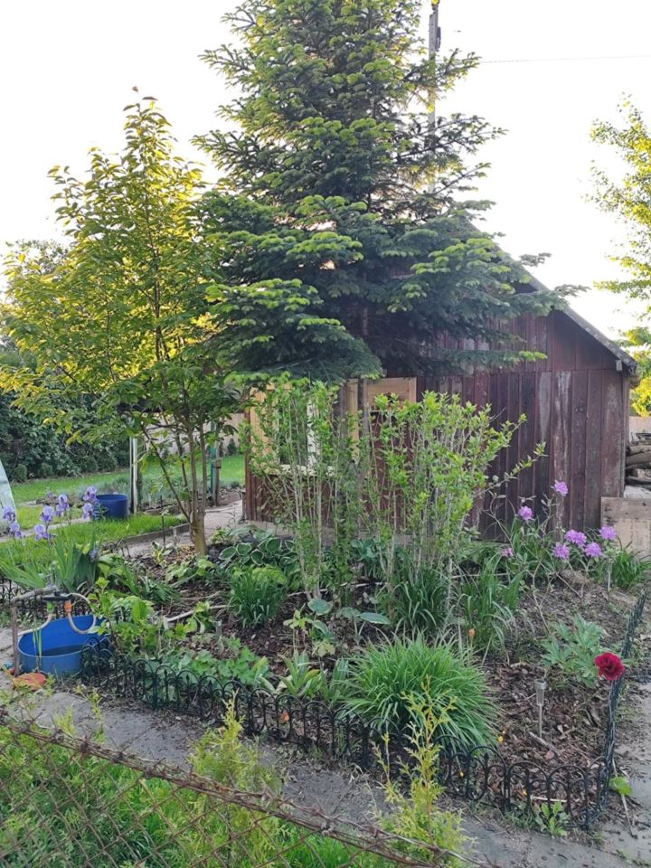 Działka rod Płock, ul. Medyczna. Zdjęcie 3