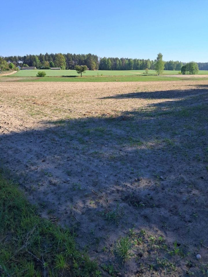 Działka rolno-budowlana Lisiny. Zdjęcie 6