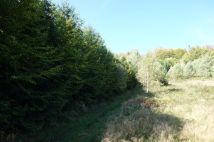 Działka inwestycyjna Ustroń Dobka, ul. Orłowa. Zdjęcie 3