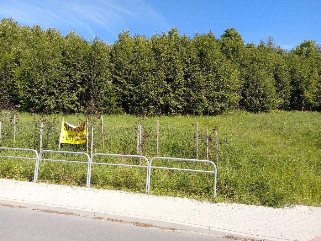 Działka budowlana Janowice. Zdjęcie 16