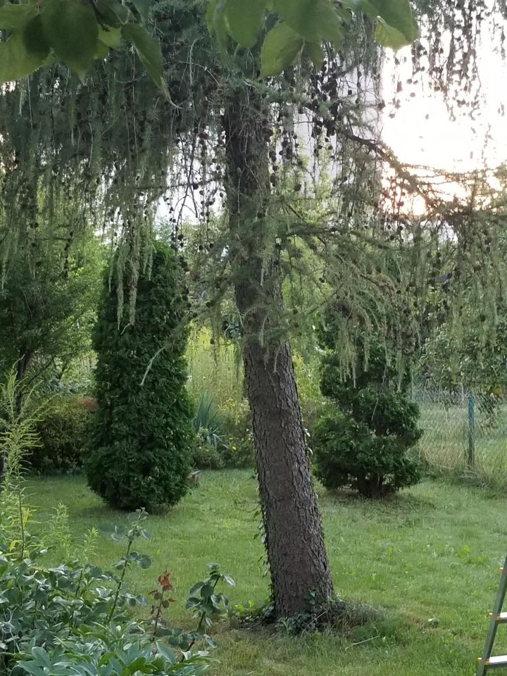 Działka rod Warszawa Ochota, ul. Wirażowa. Zdjęcie 3