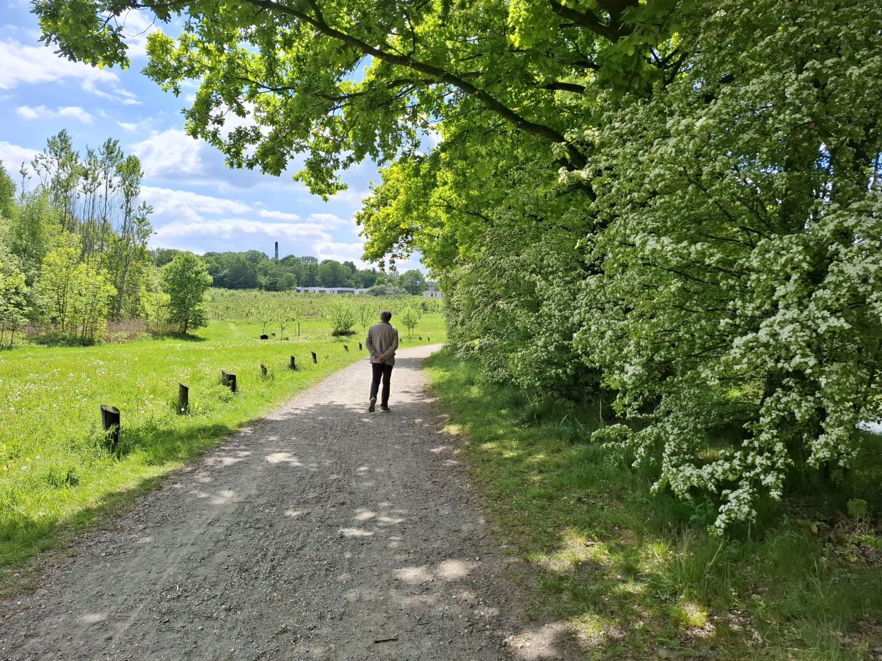 dom wolnostojący, 6 pokoi Siemianowice Śląskie Pszczelnik, ul. Żurawia. Zdjęcie 29