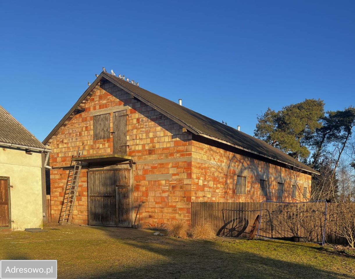 gospodarstwo, 4 pokoje Olszowiec. Zdjęcie 11