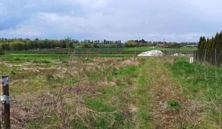 Działka budowlana Nowa Wieś Malborska, ul. Platynowa