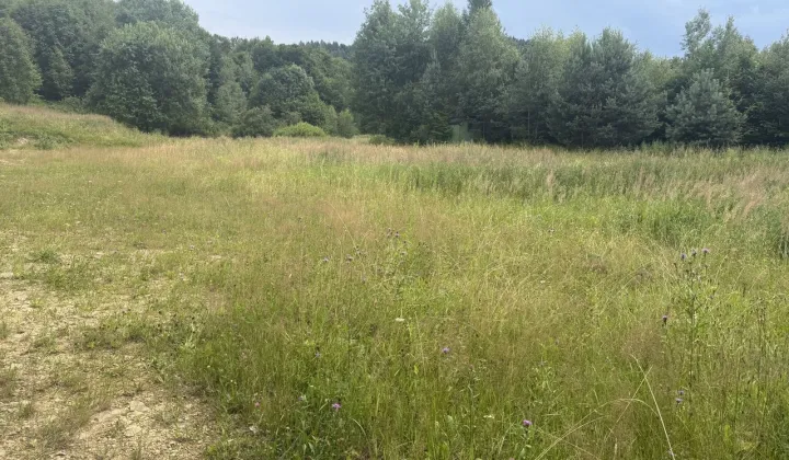 Działka inwestycyjna Pcim
