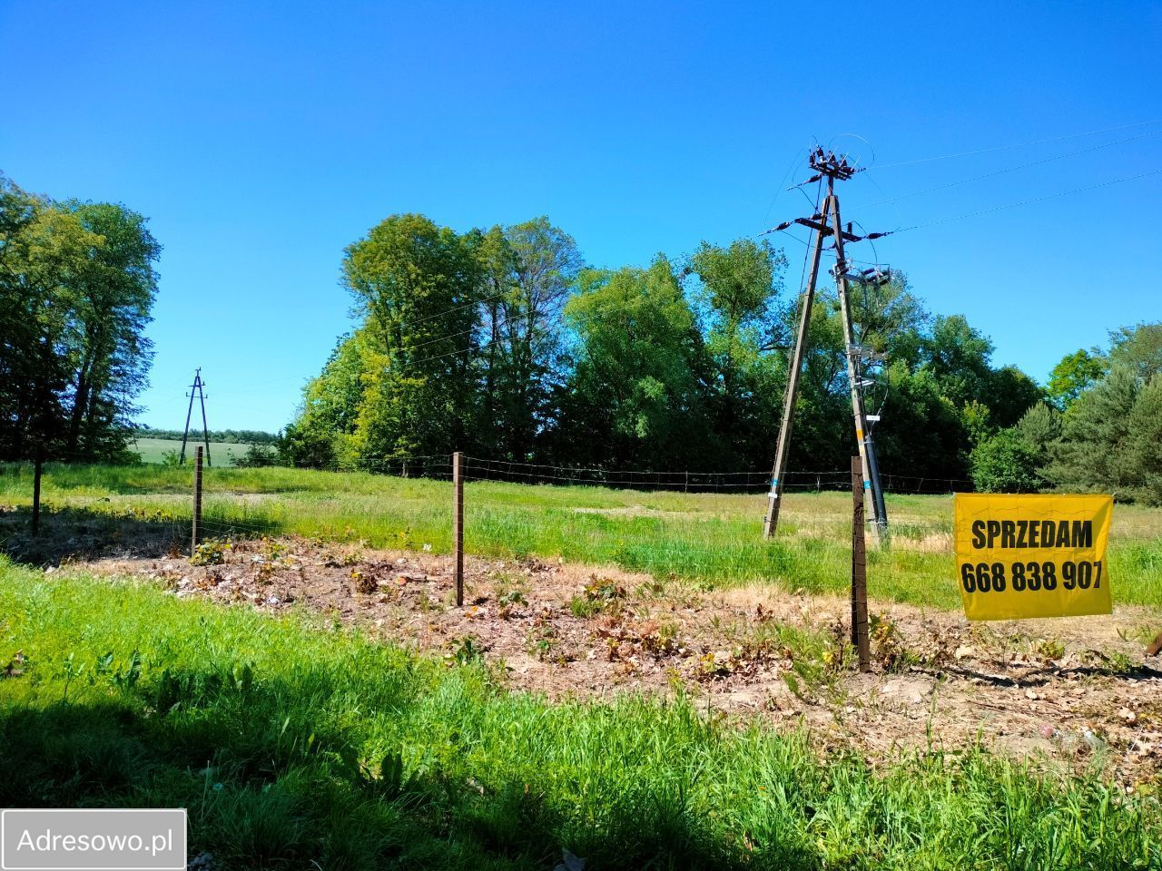 Działka rolno-budowlana Jaszyce. Zdjęcie 4