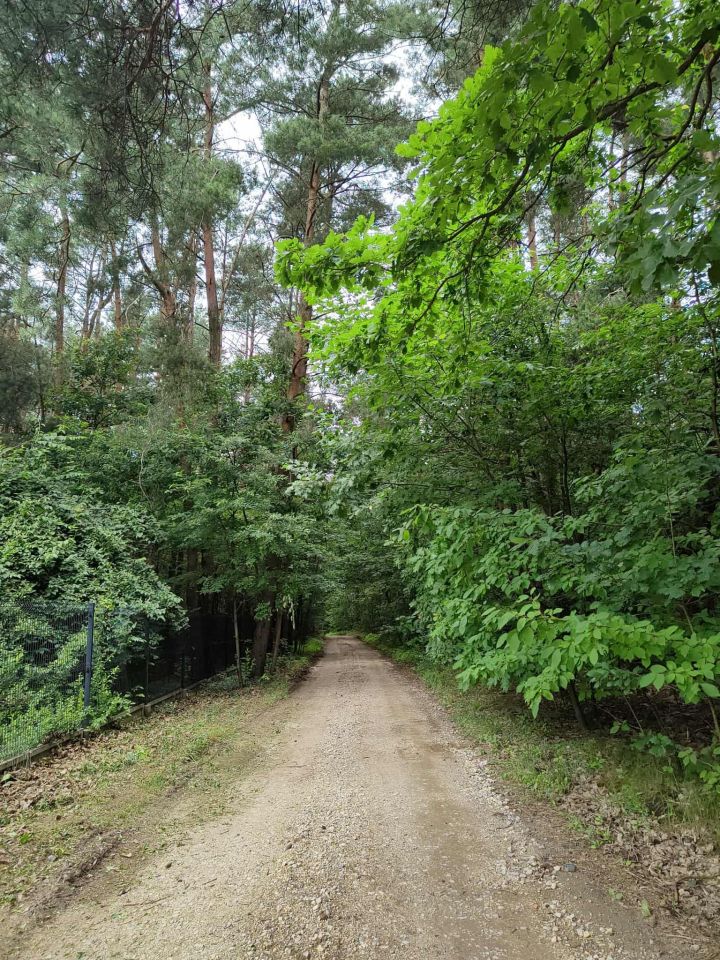 Działka rolna Lutkówka Druga, ul. Środkowa. Zdjęcie 3