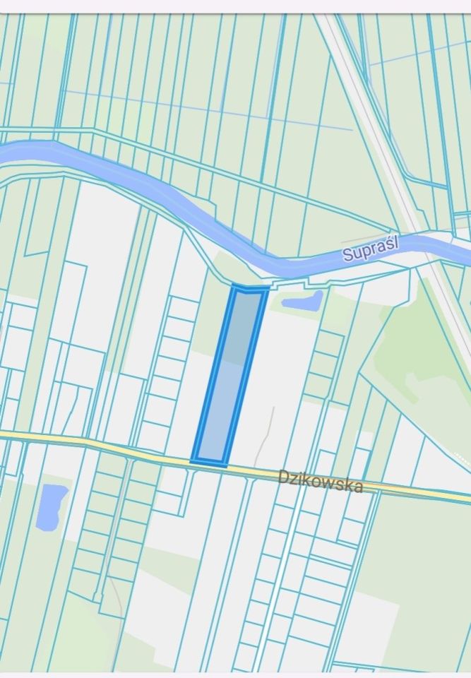 dom wolnostojący Fasty, ul. Dzikowska. Zdjęcie 3