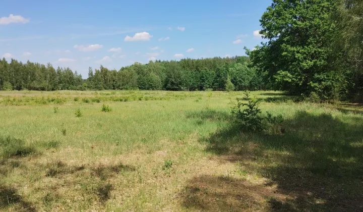 Działka budowlana Jeżewice, ul. Kasztelana Jeżewskiego
