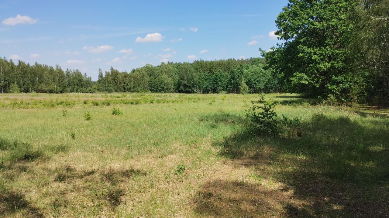 Działka budowlana Jeżewice, Kasztelana Jeżewskiego. Zdjęcie 2