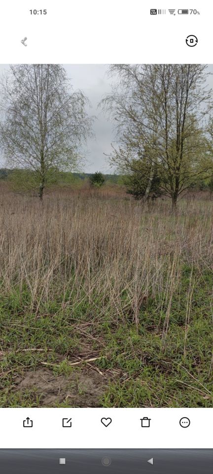 Działka budowlana Mokas. Zdjęcie 9