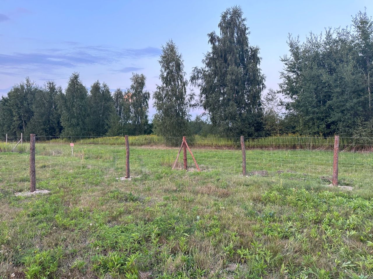 Działka budowlana Augustówka. Zdjęcie 6