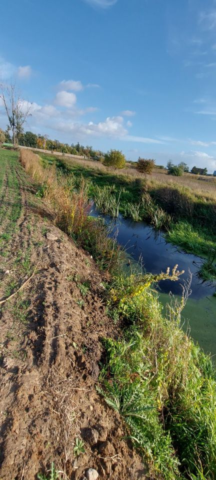 Działka rolna Mikołajew. Zdjęcie 7