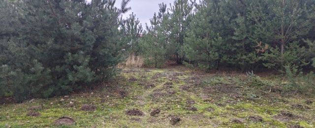 Działka budowlana Szczytniki Duchowne. Zdjęcie 1