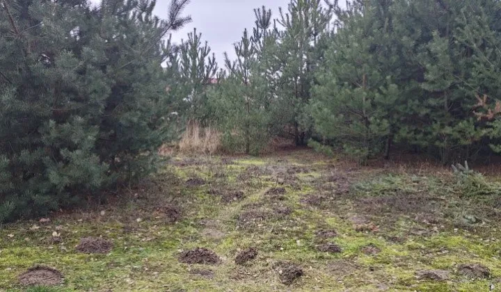 Działka budowlana Szczytniki Duchowne