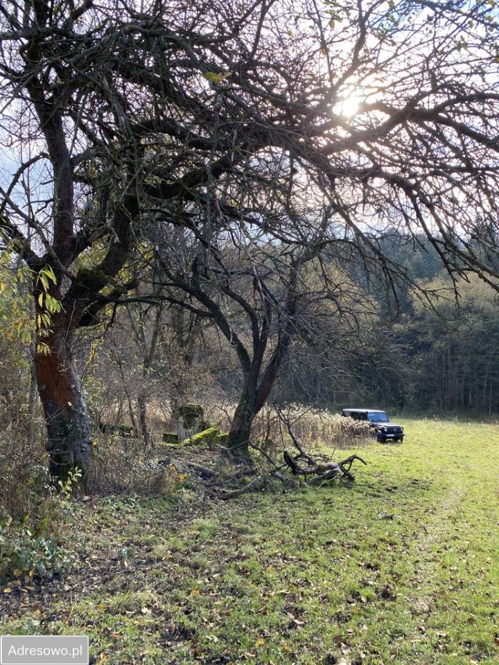 Działka rolno-budowlana Faściszowa. Zdjęcie 9