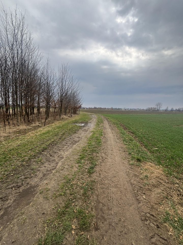 Działka rolna Koniaczów. Zdjęcie 10