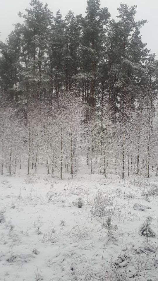 Działka budowlana Walne. Zdjęcie 4