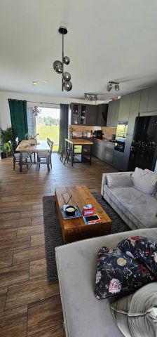 dom szeregowy Rybnik Zamysłów, ul. Wincentego Witosa. Zdjęcie 1