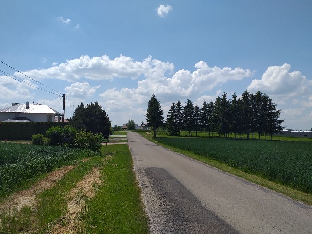 Działka budowlana Wierzbna Wandówka. Zdjęcie 4