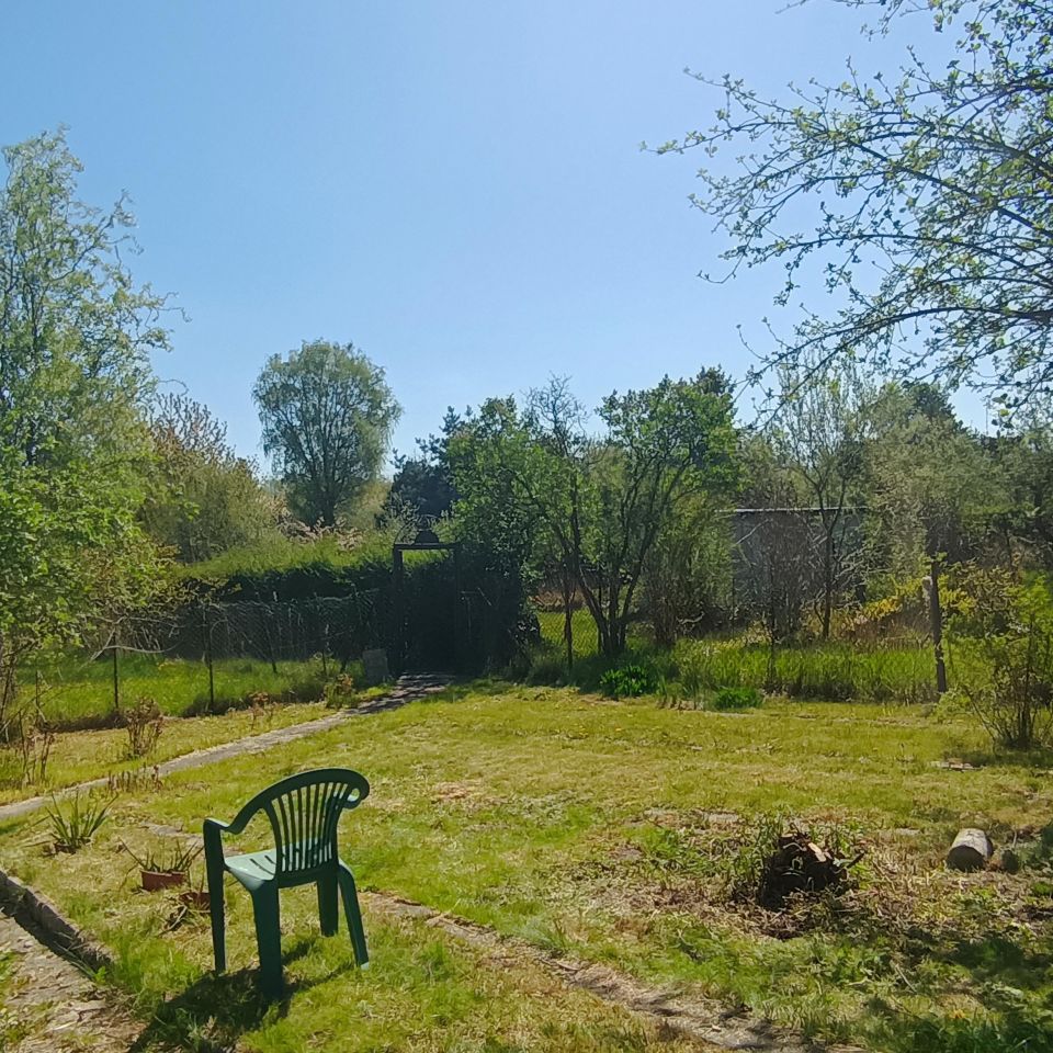 Działka rod Gliwice Trynek, ul. Rybnicka. Zdjęcie 6