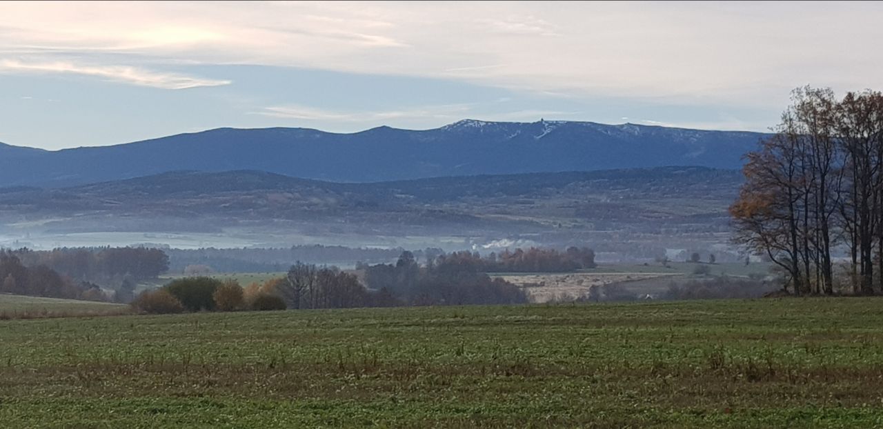 Działka rolna Pasiecznik. Zdjęcie 4