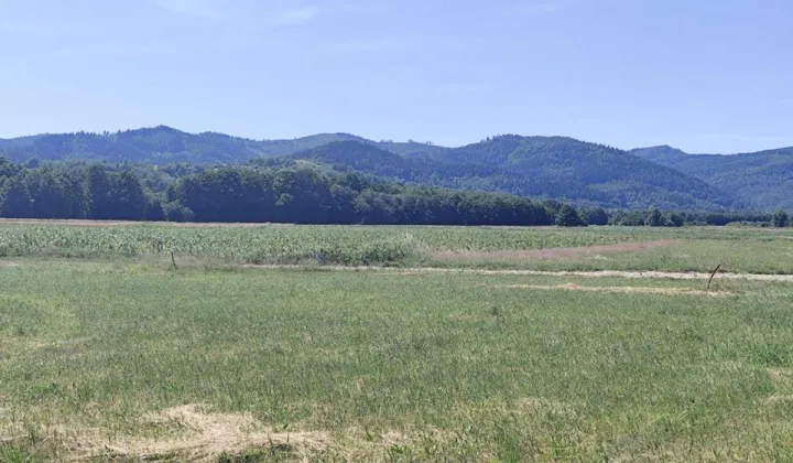 Działka budowlana Radziechowy, ul. Osiedlowa