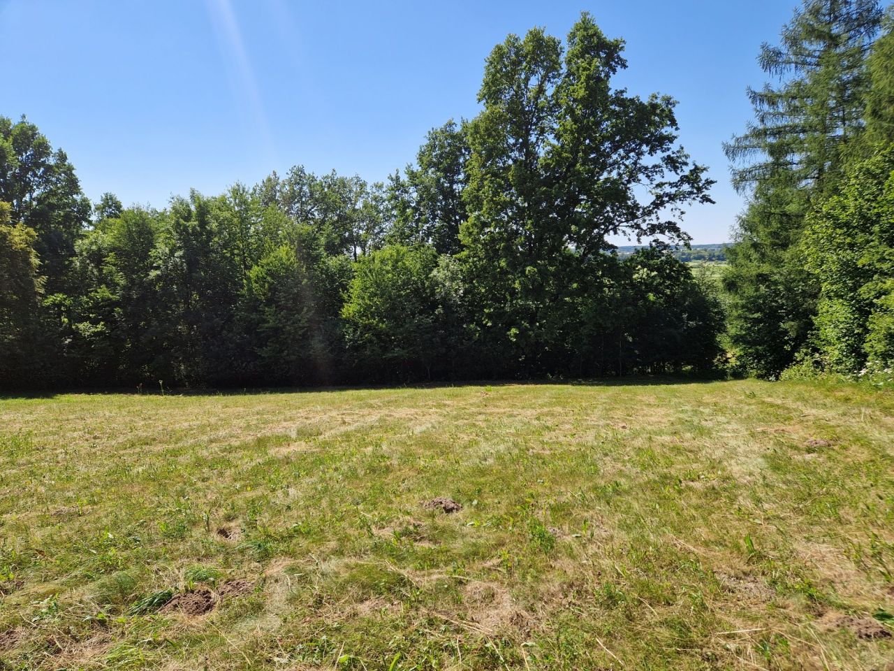 Działka rolno-budowlana Zamszany. Zdjęcie 3