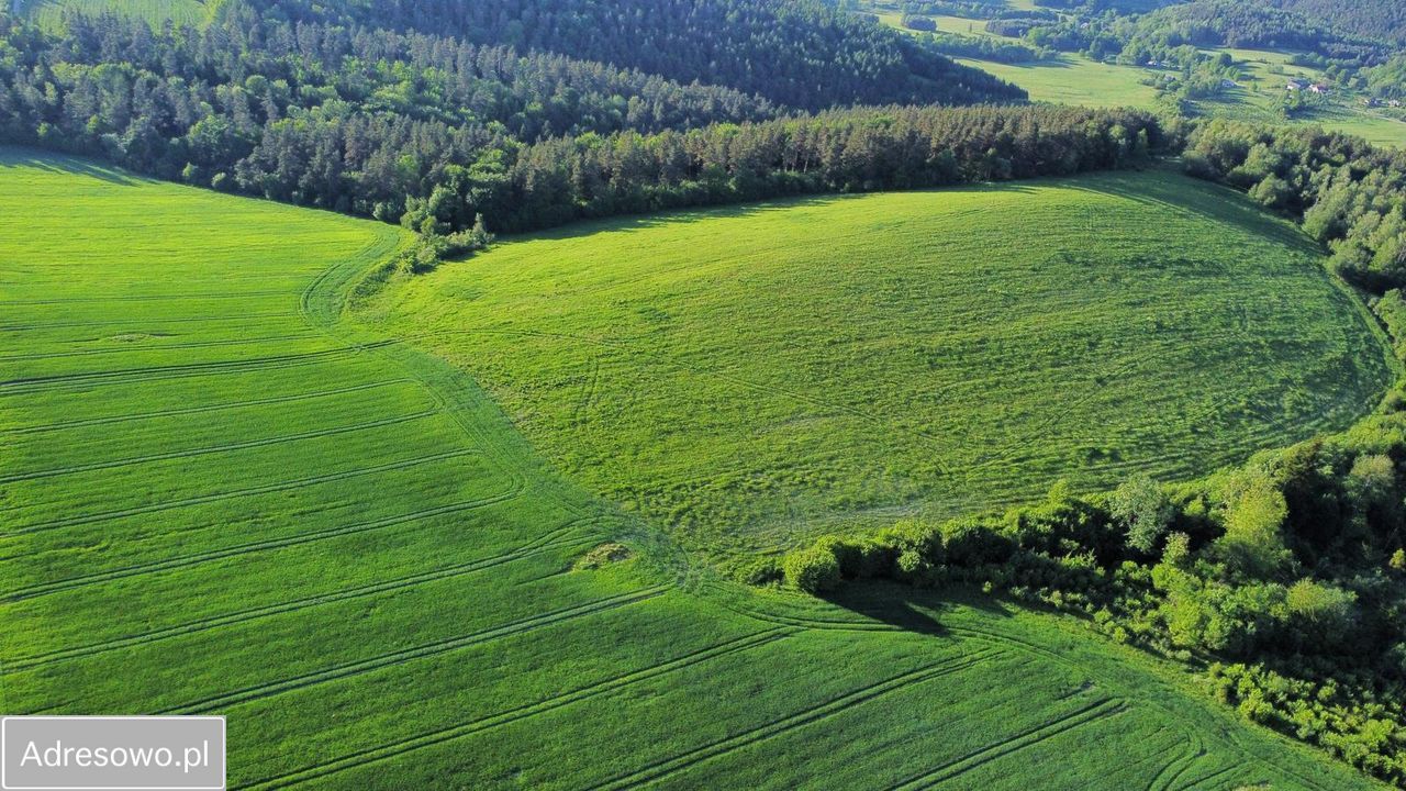Działka rolna Leszczawa Górna. Zdjęcie 10