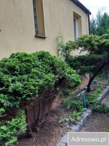 Działka rekreacyjna Suchy Las, ul. Forteczna. Zdjęcie 1