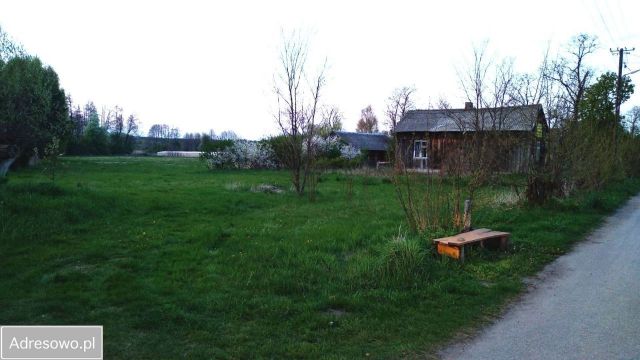 Działka rolno-budowlana Górki. Zdjęcie 1
