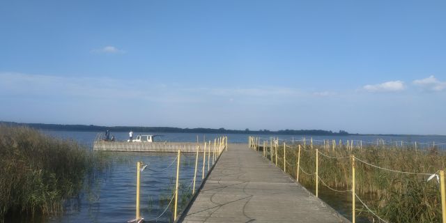 Działka inwestycyjna Jezierzany, ul. Zbożowa. Zdjęcie 7