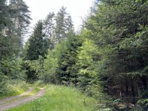 Działka rolna Henrykowo. Zdjęcie 2