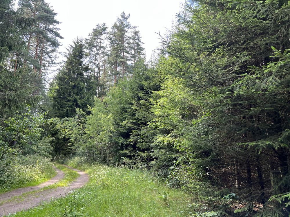 Działka rolna Henrykowo. Zdjęcie 3