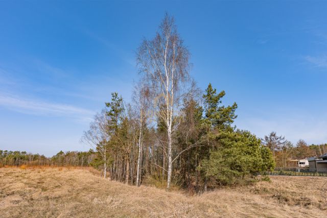 Działka budowlana Gdynia Dąbrowa, ul. Leśna Polana. Zdjęcie 7