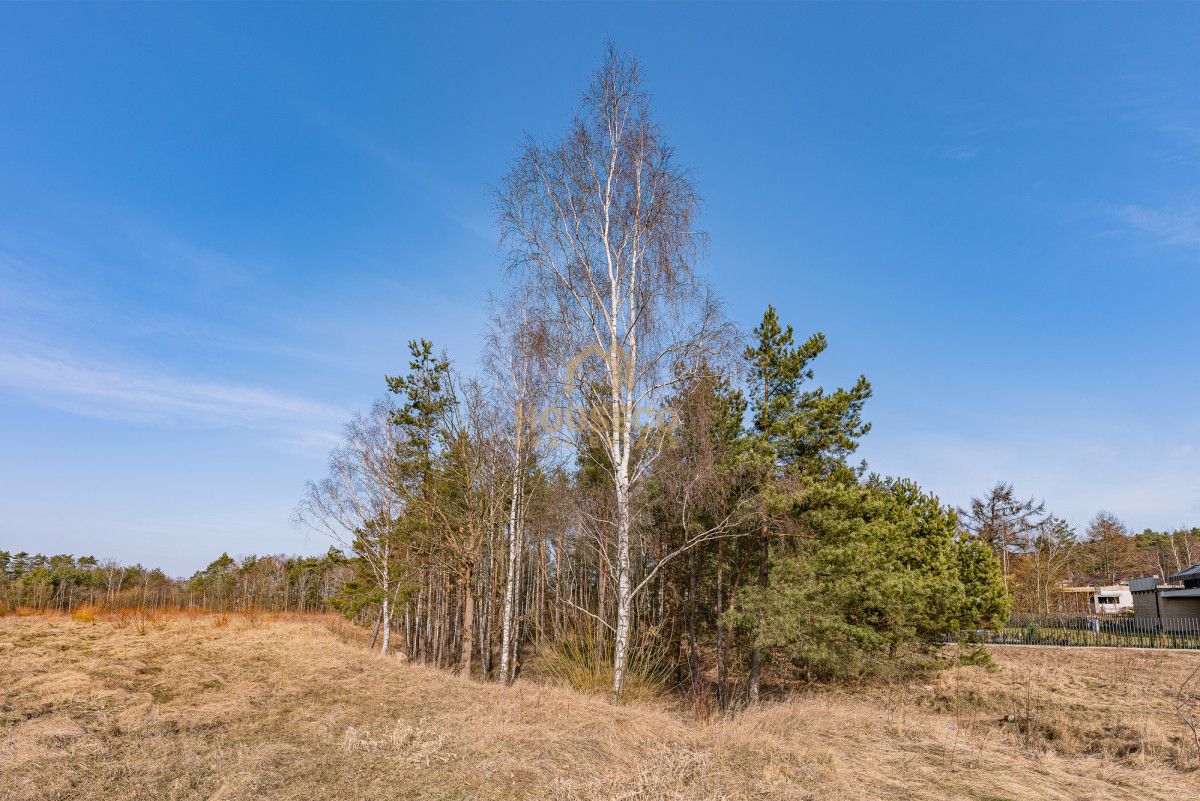 Działka budowlana Gdynia Dąbrowa, ul. Leśna Polana. Zdjęcie 7