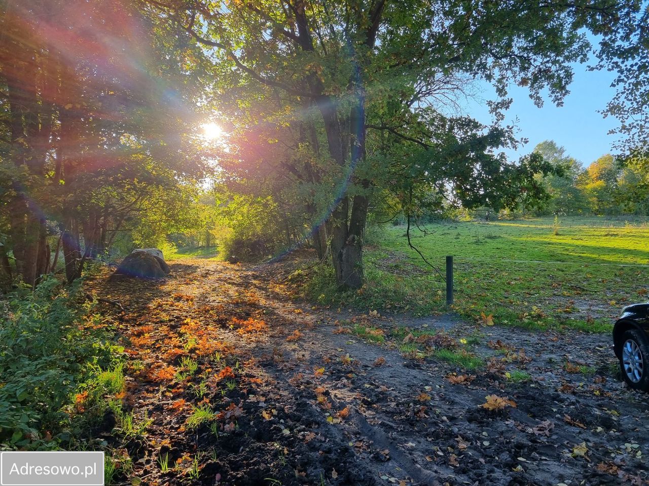 Działka siedliskowa Zastawno. Zdjęcie 5