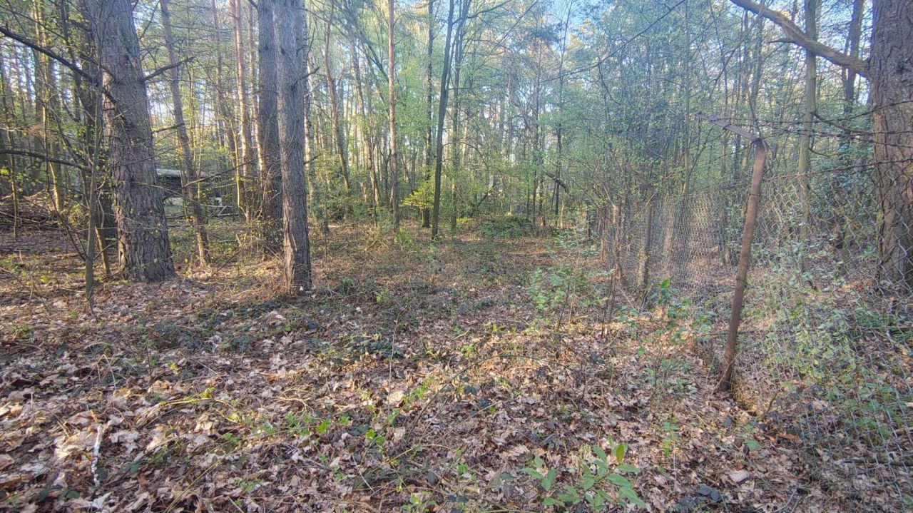 Działka budowlana Nowy Świat. Zdjęcie 3