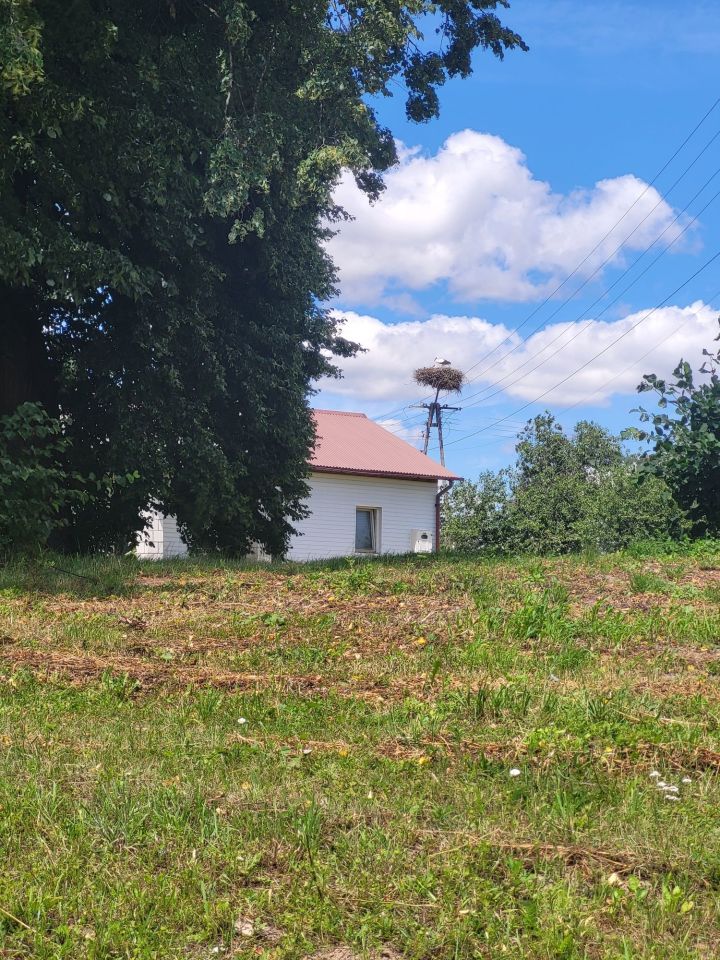 siedlisko Średnie Małe. Zdjęcie 3