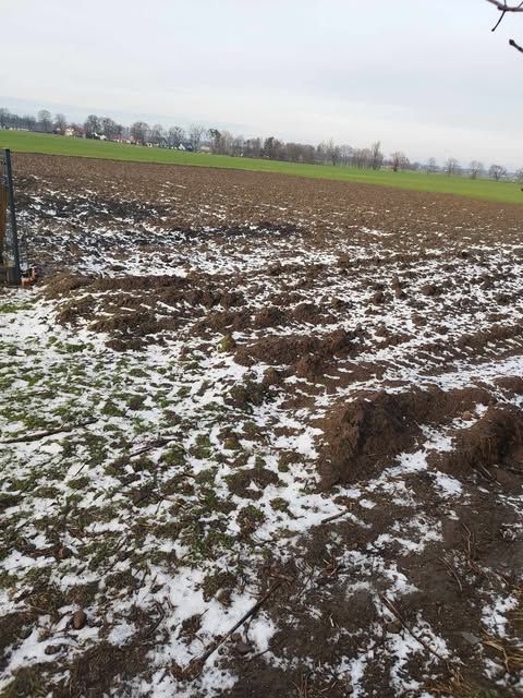 Działka budowlana Młodojewo-Kolonia. Zdjęcie 2