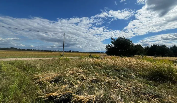 Działka budowlana Kwiatkówek, ul. Dzika