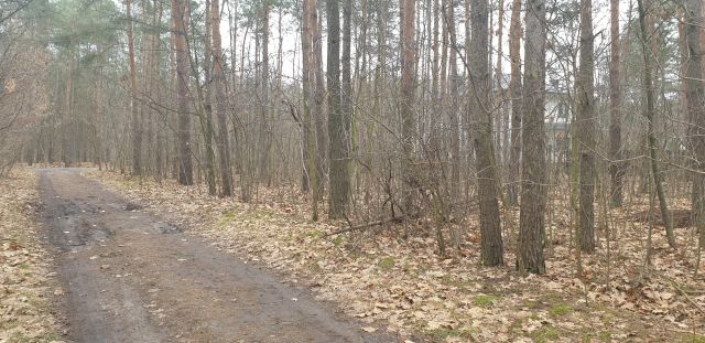 Działka leśna Warszawa Rembertów, ul. Zdrowotna. Zdjęcie 1