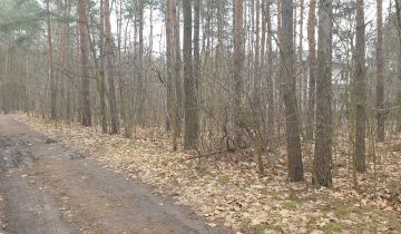 Działka leśna Warszawa Rembertów, ul. Zdrowotna