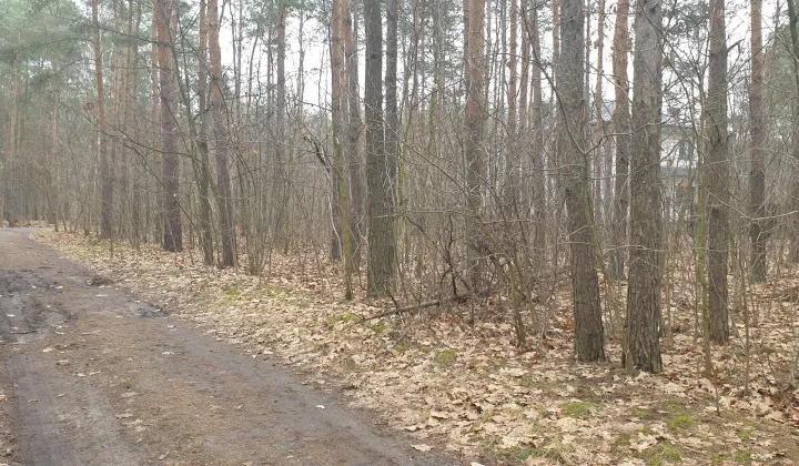 Działka leśna Warszawa Rembertów, ul. Zdrowotna