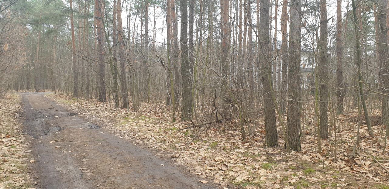 Działka leśna Warszawa Rembertów, ul. Zdrowotna